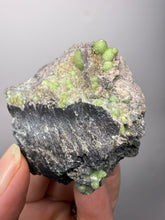 Load image into Gallery viewer, High-Grade Green Wavellite Collectors Specimen - Radiating Botryoidal Crystal Formation - Arkansas, USA