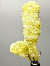 Load image into Gallery viewer, Vibrant Yellow Brucite Thumbnail Mineral Specimen | Collector Crystal from Killa Saifullah District in Balochistan Province, Pakistan