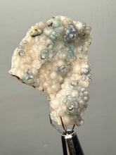 Load image into Gallery viewer, Blue-Green Chrysocolla in Botryoidal Chalcedony Cabinet Specimen | Indonesia