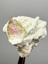 Load image into Gallery viewer, Watermelon Tourmaline on Matrix – Collector Mineral Specimen from Pakistan