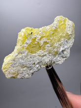 Load image into Gallery viewer, Vibrant Yellow Brucite Thumbnail Mineral Specimen | Collector Crystal from Killa Saifullah District in Balochistan Province, Pakistan