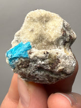 Load image into Gallery viewer, Rare Electric Blue Cavansite on Druzy Matrix – Collector Mineral Specimen | India