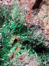 Load image into Gallery viewer, Brochantite Collector Mineral Specimen – Vivid Green Copper Crystals from Morocco