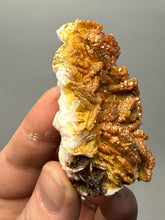 Load image into Gallery viewer, Natural Vanadinite on Matrix | Collector Mineral Specimen | Morocco
