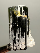 Load image into Gallery viewer, Green Cap Stak Nala Tourmaline with Cleavelandite – Haramosh Mountains, Pakistan | Thumbnail Specimen
