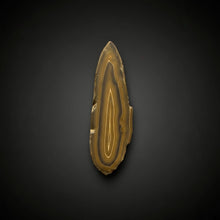 Load image into Gallery viewer, Stromatolite Fossil Slice | Ancient Microbial Reef Structure | Morocco