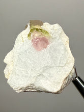 Load image into Gallery viewer, Watermelon Tourmaline on Matrix – Collector Mineral Specimen from Pakistan