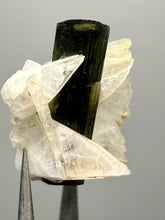 Load image into Gallery viewer, Dark Green Cap Stak Nala Tourmaline and Cleavelandite – Haramosh Mountains, Pakistan | Thumbnail Specimen