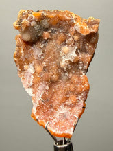 Load image into Gallery viewer, Sunset Goblin Chalcedony Botryoidal Stalactite | Sidi Rahal, Morocco (Western Sahara) Mineral Display Specimen