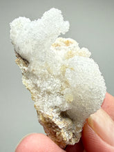 Load image into Gallery viewer, RARE COMBO Moroccan Ram’s Horn Selenite (Gypsum) with Yellow Botryoidal Fluorite Display Specimen