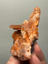 Load image into Gallery viewer, Chalcedony Quartz Rose Agate Collector Mineral Specimen – Morocco
