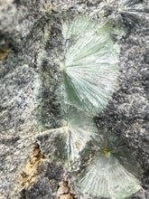 Load image into Gallery viewer, High-Grade Green Wavellite Collectors Specimen - Radiating Botryoidal Crystal Formation - Arkansas, USA