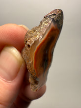 Load image into Gallery viewer, Polished Malawi Agate Half – High-Grade African Banded Agate Display Specimen