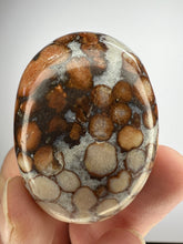 Load image into Gallery viewer, Cobra Jasper Palm Stone from India • High Grade