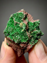 Load image into Gallery viewer, Brochantite Collector Mineral Specimen – Vivid Green Copper Crystals from Morocco