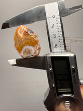Load image into Gallery viewer, Lot of 4 Small Malawi Agate Halves – Polished Rare Colorful Collector Specimens