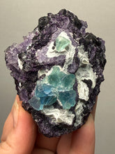 Load image into Gallery viewer, High-Grade Rare Purple-Green-Blue Cubic Fluorite | Cabinet Mineral Collector Specimen | Zhejiang Province, China