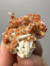 Load image into Gallery viewer, Natural Vanadinite on Matrix | Collector Mineral Specimen | Morocco