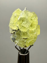 Load image into Gallery viewer, Vibrant Yellow Brucite Thumbnail Mineral Specimen | Collector Crystal from Killa Saifullah District in Balochistan Province, Pakistan