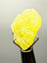 Load image into Gallery viewer, Vibrant Yellow Brucite Thumbnail Mineral Specimen | Collector Crystal from Killa Saifullah District in Balochistan Province, Pakistan