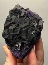 Load image into Gallery viewer, High-Grade Rare Purple-Green-Blue Cubic Fluorite | Cabinet Mineral Collector Specimen | Zhejiang Province, China