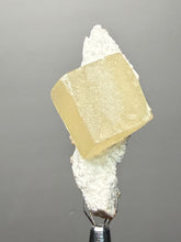 Load image into Gallery viewer, Rare Druzy Golden “Diamond” Calcite on Zeolite Matrix — Maharashtra, India | Collector Cabinet Specimen