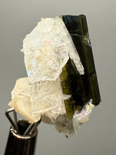 Load image into Gallery viewer, Dark Green Cap Stak Nala Tourmaline with Cleavelandite Flower – Haramosh Mountains, Pakistan | Thumbnail Specimen