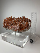 Load image into Gallery viewer, Red Phantom Pagoda Tower Calcite from Hubei Province, China • High Grade High Shine • Stand Included • Mineral Collector’s Showpiece