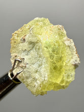 Load image into Gallery viewer, Vibrant Yellow Brucite Thumbnail Mineral Specimen | Collector Crystal from Killa Saifullah District in Balochistan Province, Pakistan