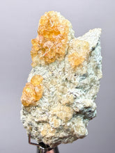 Load image into Gallery viewer, Hessonite Garnet Cluster on Matrix – Thumbnail Collector Specimen from Pakistan | High-Grade Orange-Red Garnet Crystals