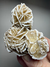 Load image into Gallery viewer, Desert Rose Selenite (Gypsum) — Mineral Display Specimen | Mexico