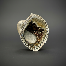 Load image into Gallery viewer, Bivalve (Pelecypoda) Fossil Sea Shell with Chalcopyrite | Mineralized Fossil Specimen | Indonesia