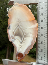 Load image into Gallery viewer, Rare Moroccan White Agate w Incredible Parallax Collected by Indigenous Nomads | Ancient Beauty from the Sahara