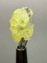 Load image into Gallery viewer, Vibrant Yellow Brucite Thumbnail Mineral Specimen | Collector Crystal from Killa Saifullah District in Balochistan Province, Pakistan