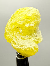 Load image into Gallery viewer, Vibrant Yellow Brucite Thumbnail Mineral Specimen | Collector Crystal from Killa Saifullah District in Balochistan Province, Pakistan