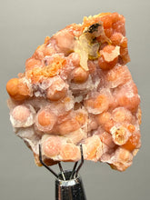 Load image into Gallery viewer, “Goblin Chalcedony” Pink & Orange Druzy Botryoidal Stalactites— Tichka Massif, High Atlas, Morocco