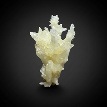 Load image into Gallery viewer, High-Grade Coral Aragonite Specimen | Wenshan Mine, Yunnan, China | Collector Mineral Display