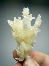 Load image into Gallery viewer, High-Grade Coral Aragonite Specimen | Wenshan Mine, Yunnan, China | Collector Mineral Display