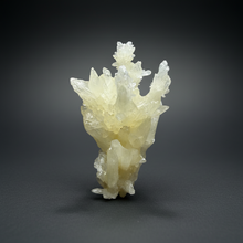 Load image into Gallery viewer, High-Grade Coral Aragonite Specimen | Wenshan Mine, Yunnan, China | Collector Mineral Display