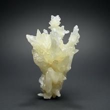 Load image into Gallery viewer, High-Grade Coral Aragonite Specimen | Wenshan Mine, Yunnan, China | Collector Mineral Display