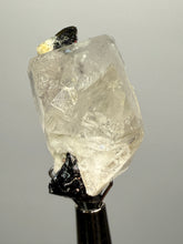 Load image into Gallery viewer, Dark Green Cap Stak Nala Tourmaline and Cleavelandite on Quartz – Haramosh Mountains, Pakistan | Thumbnail Specimen