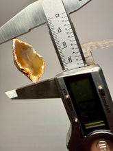 Load image into Gallery viewer, Polished Malawi Agate Half – High-Grade African Banded Agate Display Specimen