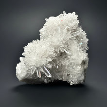 Load image into Gallery viewer, High-Grade Chrysanthemum Quartz (Needle Quartz) Spray Cluster | Jiangxi, China
