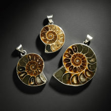 Load image into Gallery viewer, PENDANT | Ammonite Fossil | 925 Silver Plated