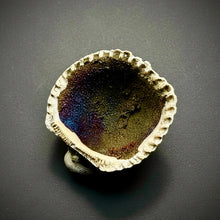 Load image into Gallery viewer, Bivalve (Pelecypoda) Fossil Sea Shell with Chalcopyrite | Mineralized Fossil Specimen | Indonesia