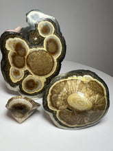 Load image into Gallery viewer, BARITE, MARCASITE Polished Free Form • Lubin Mine, KGHM, Lubin District, Legnica, Lower Silesial, Poland