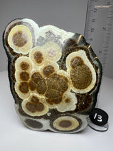 Load image into Gallery viewer, BARITE, MARCASITE Polished Free Form • Lubin Mine, KGHM, Lubin District, Legnica, Lower Silesial, Poland