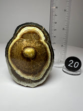 Load image into Gallery viewer, BARITE, MARCASITE Polished Free Form • Lubin Mine, KGHM, Lubin District, Legnica, Lower Silesial, Poland