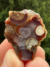 Load image into Gallery viewer, Rare Moroccan Orbicular Agate Collected by Indigenous Nomads | Ancient Beauty from the Sahara