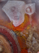 Load image into Gallery viewer, Rare Moroccan Orbicular Agate Collected by Indigenous Nomads | Ancient Beauty from the Sahara